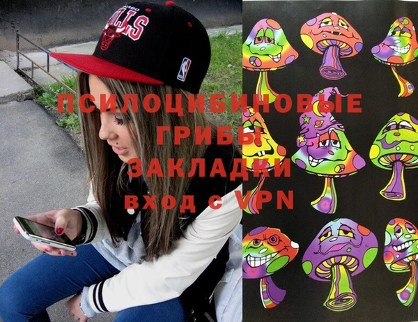прущая мука Богородицк