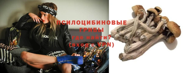 спайс Белокуриха
