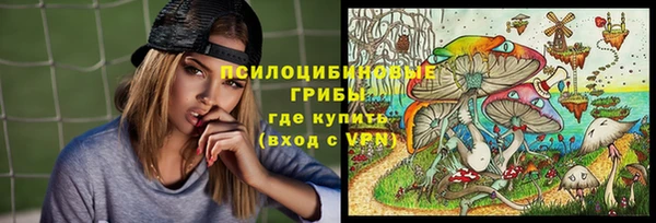 Альфа ПВП Богородск
