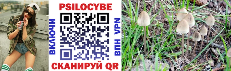Галлюциногенные грибы MAGIC MUSHROOMS  площадка состав  Кедровый 